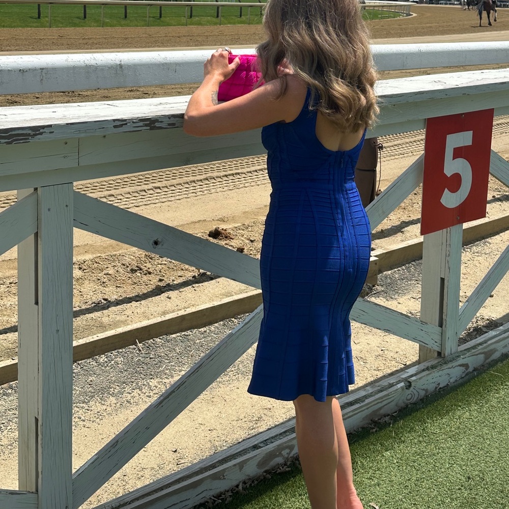Herve leger dress